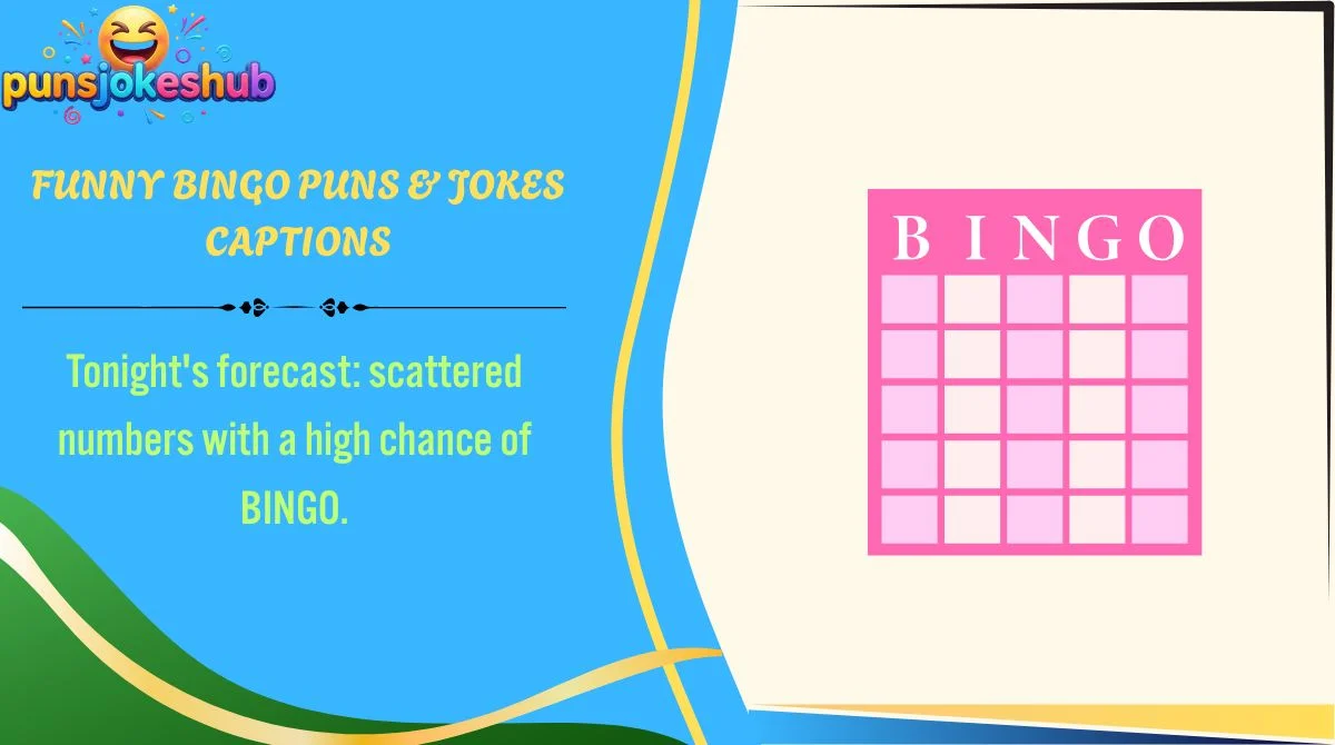funny-bingo-puns-and-jokes-captions Funny Bingo Puns & Jokes Captions