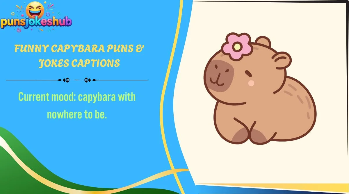 Funny Capybara Puns & Jokes Captions