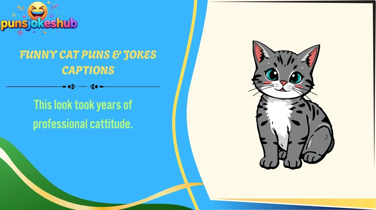 funny-cat-puns-and-jokes-captions Funny Cat Puns & Jokes Captions