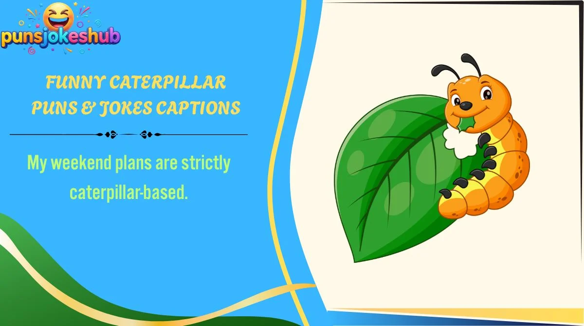 Funny Caterpillar Puns & Jokes Captions