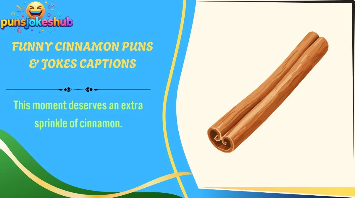 Funny Cinnamon Puns & Jokes Captions