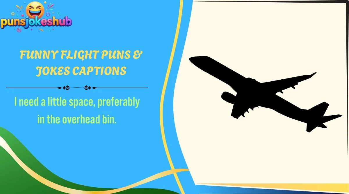 Funny Flight Puns & Jokes Captions