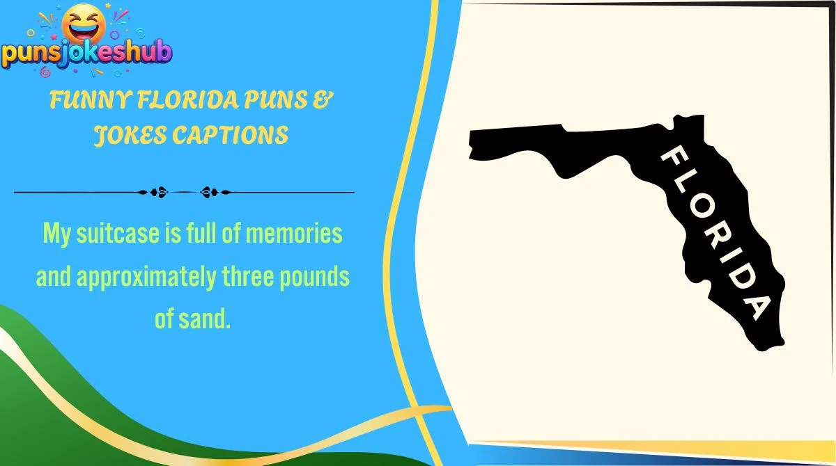 funny-florida-puns-and-jokes-captions Funny Florida Puns & Jokes Captions