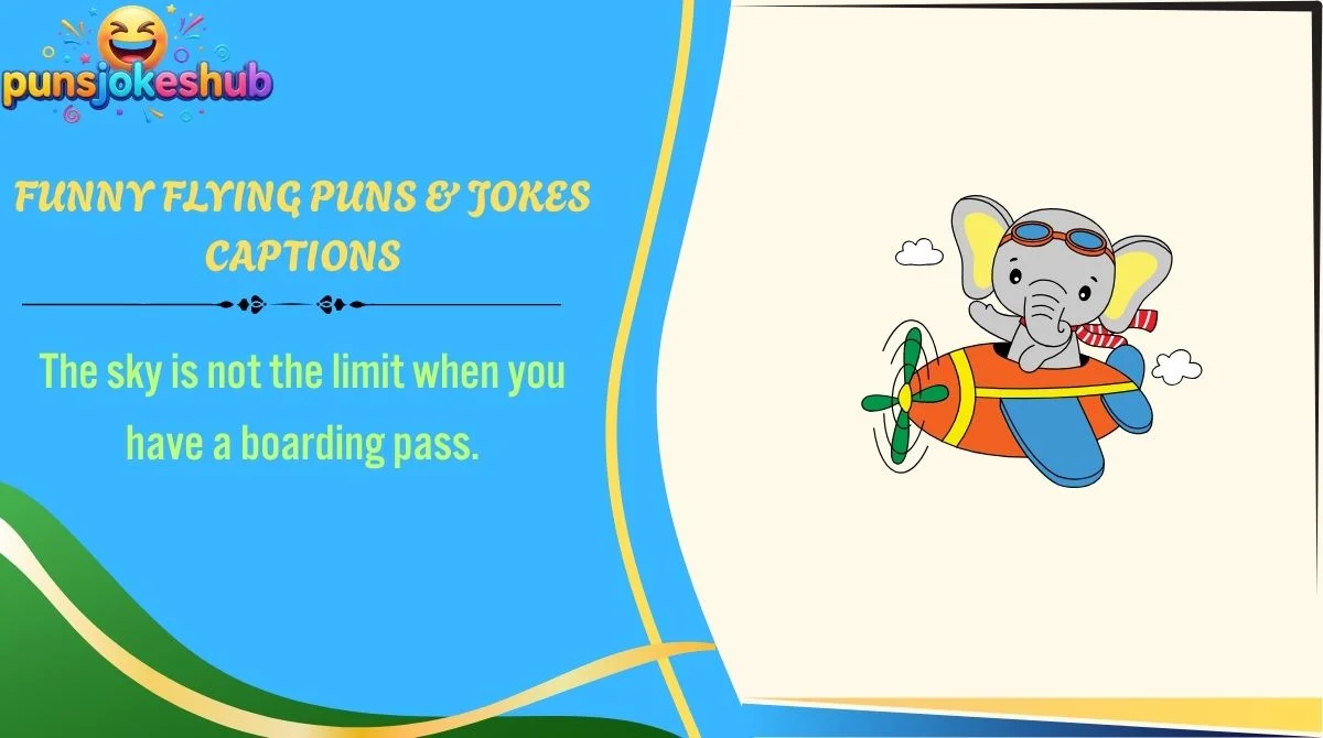 funny-flying-puns-and-jokes-captions Funny Flying Puns & Jokes Captions