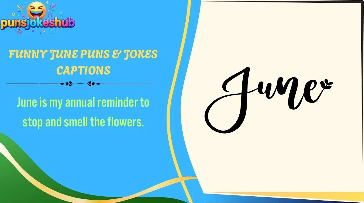 funny-june-puns-and-jokes-captions Funny June Puns & Jokes Captions