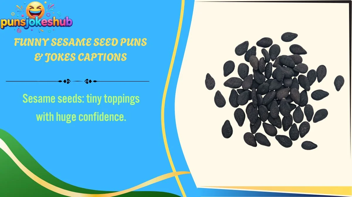 funny-sesame-seed-puns-and-jokes-captions Funny Sesame Seed Puns & Jokes Captions