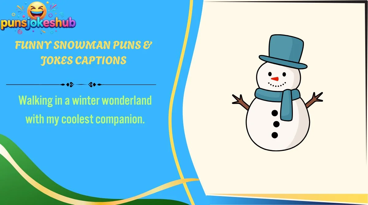 Funny Snowman Puns & Jokes Captions