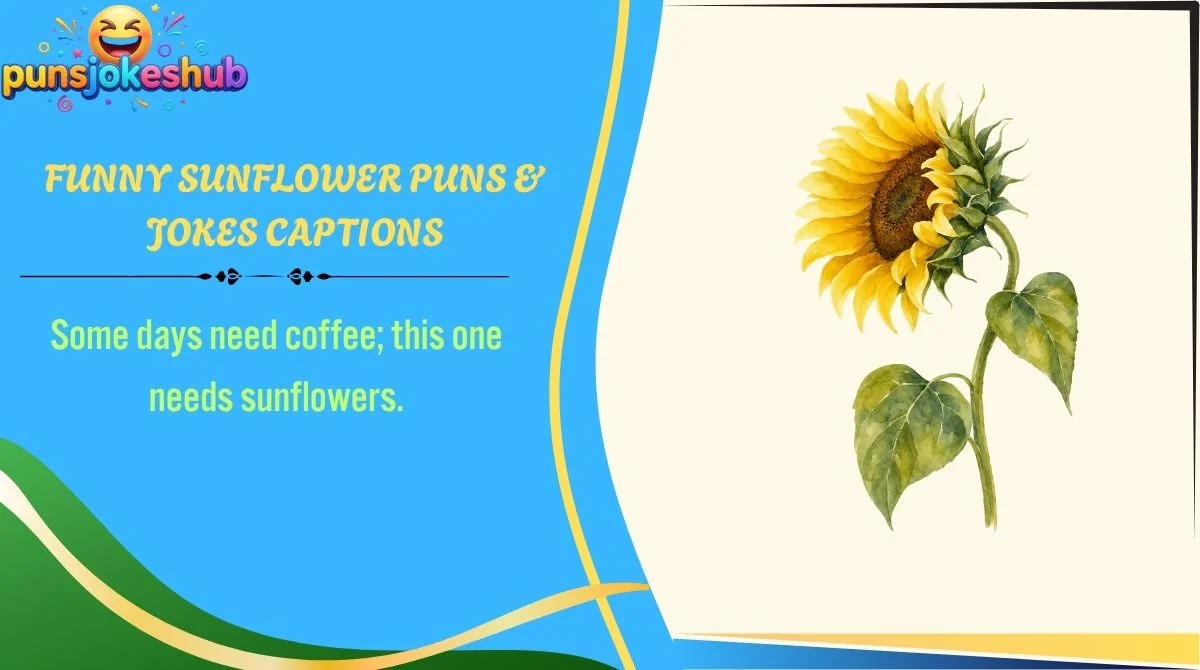 funny-sunflower-puns-and-jokes-captions Funny Sunflower Puns & Jokes Captions