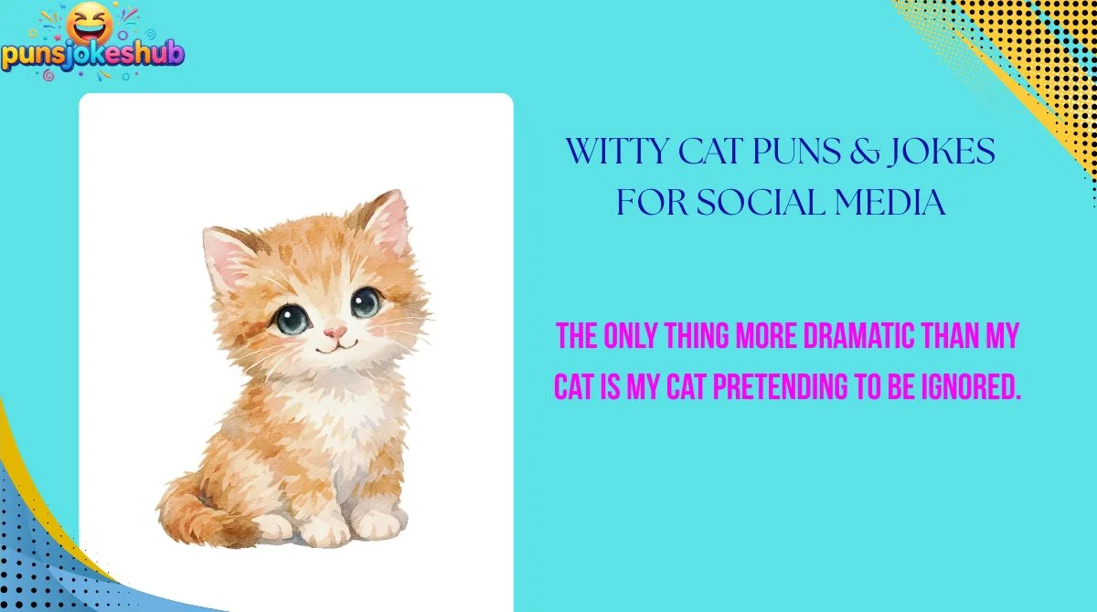 witty-cat-puns-and-jokes-for-social-media Witty Cat Puns & Jokes for Social Media