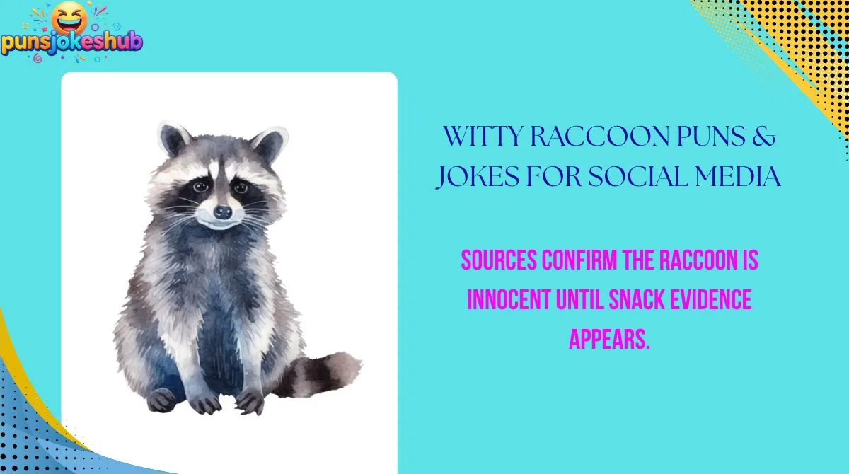 witty-raccoon-puns-and-jokes-for-social-media Witty Raccoon Puns & Jokes for Social Media