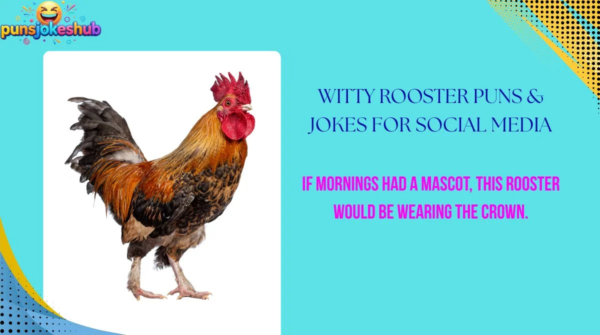 Witty Rooster Puns & Jokes for Social Media